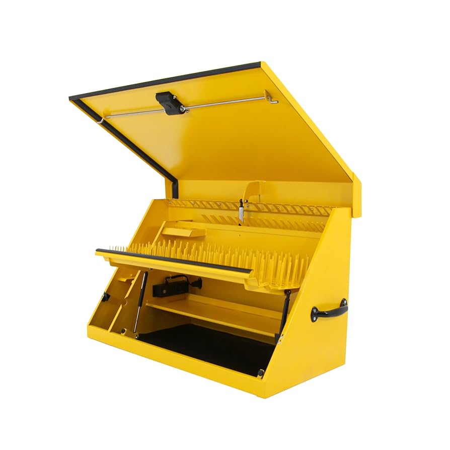 Amazon.com: DeWalt 36